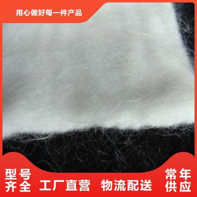 長絲復(fù)合土工布 現(xiàn)代工程中的多功能防護(hù)衛(wèi)士